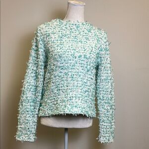 Ann Taylor Mint Green Textured Crew Neck Sweater